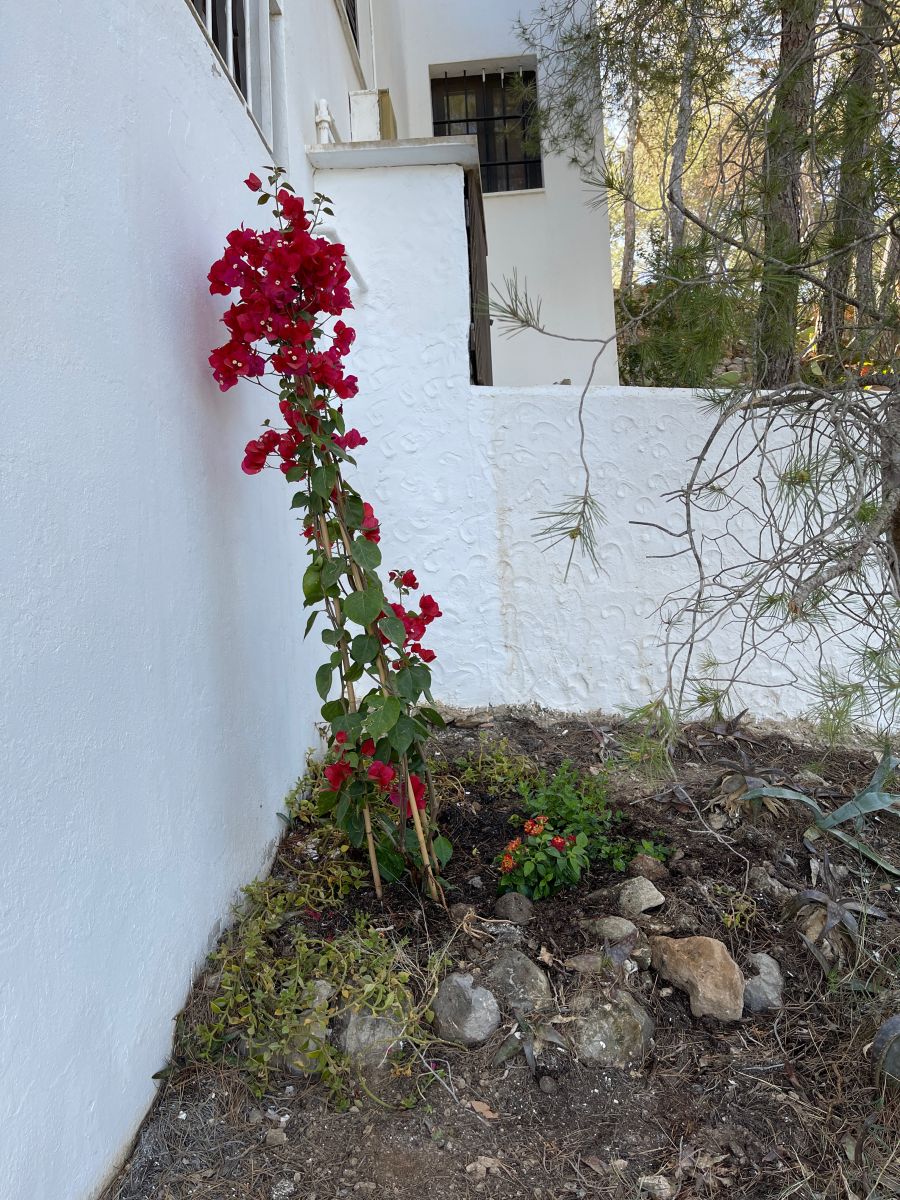 Dieser Platz ist auch im Winter sonniger