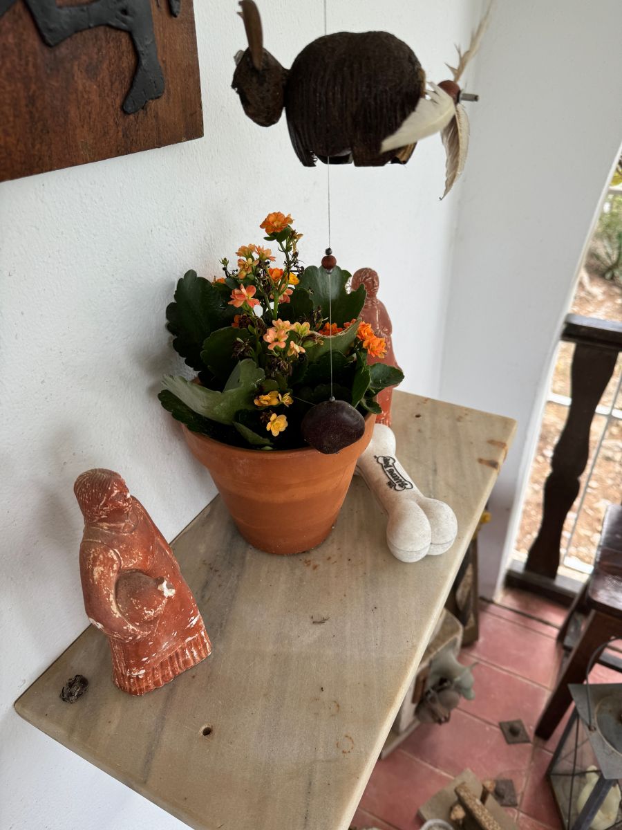Noch ein Flammendes Käthchen...